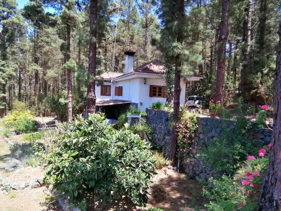Floral Garden House Villa Icod De Los Vinos Exterior photo