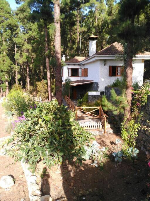 Floral Garden House Villa Icod De Los Vinos Exterior photo