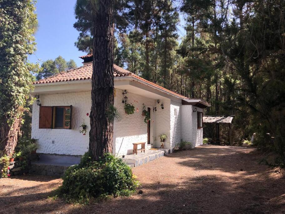 Floral Garden House Villa Icod De Los Vinos Exterior photo