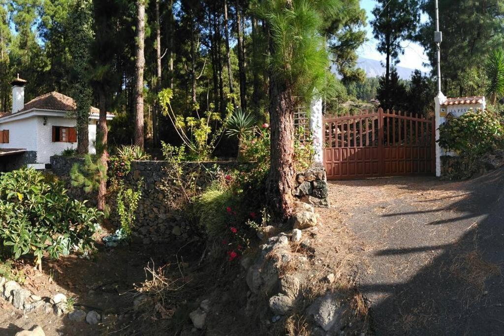 Floral Garden House Villa Icod De Los Vinos Exterior photo
